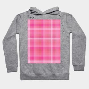 Pale Pink Plaid Hoodie